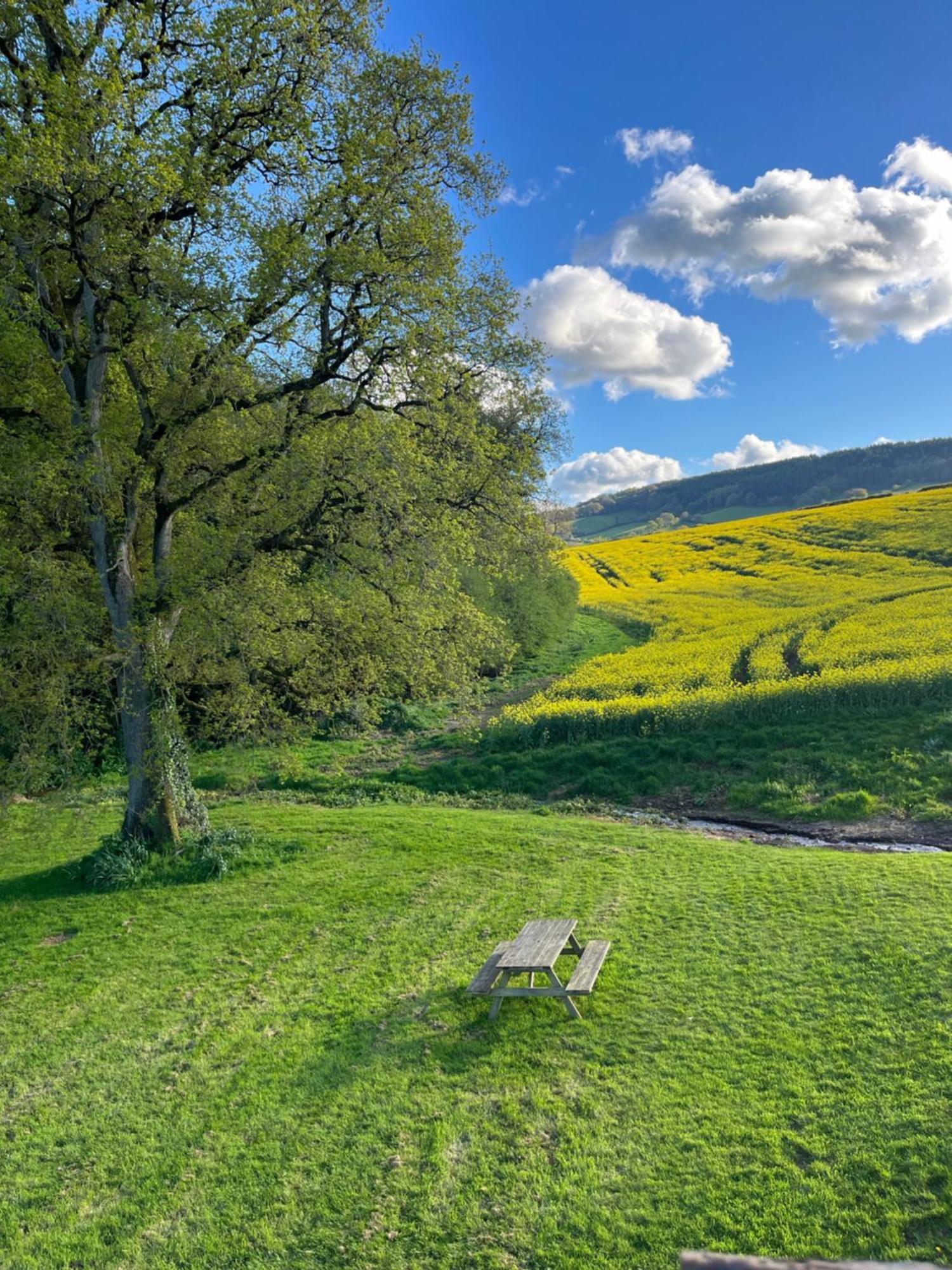 Lower Thornton Farm Farm stay *