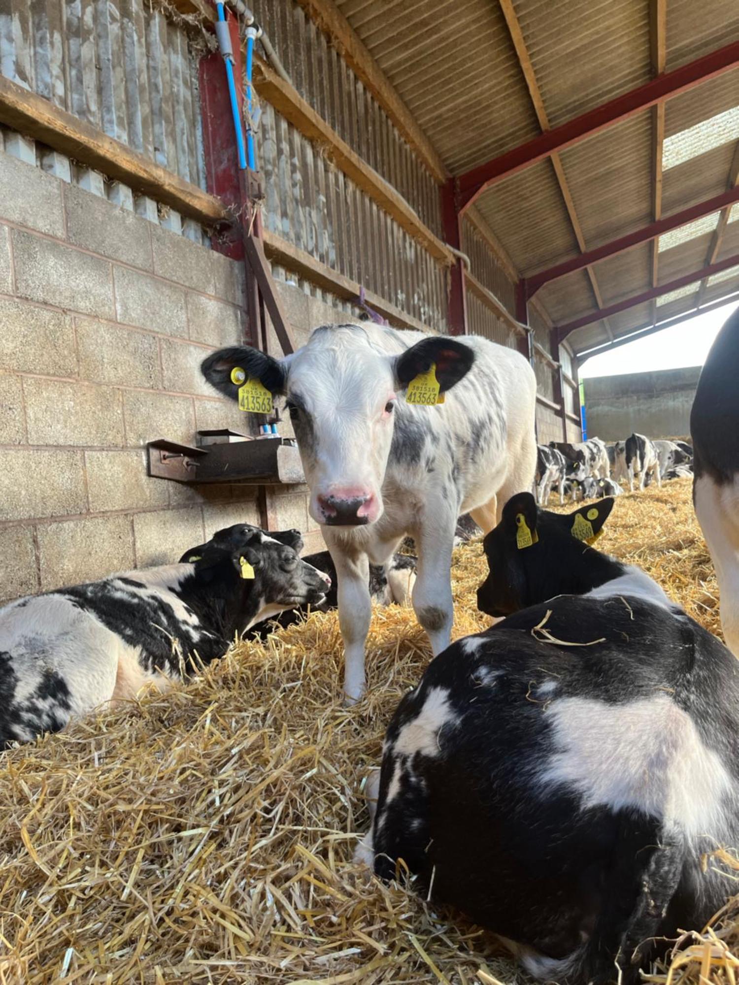 Lower Thornton Farm Farm stay Exeter