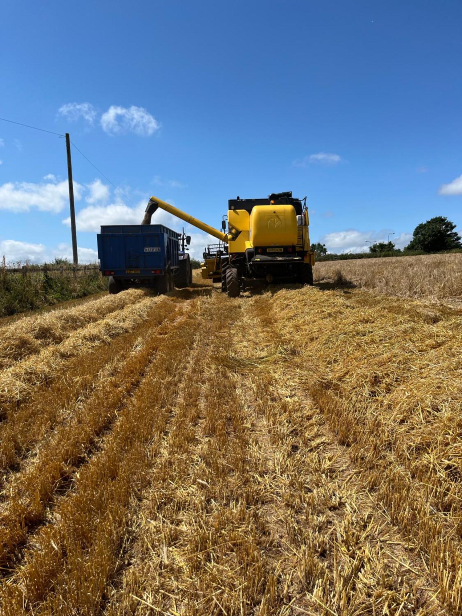 Lower Thornton Farm Farm stay